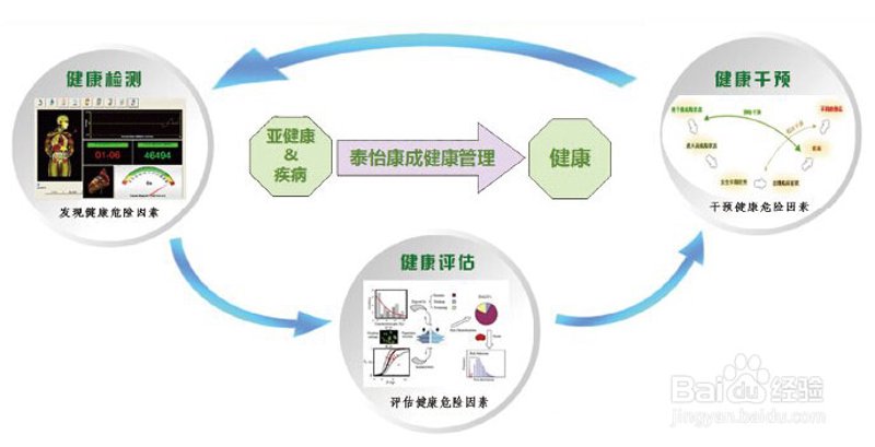 深度解析：如何进行一次全面的健康体检