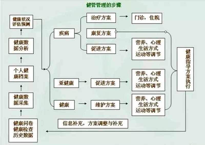 健康管理：从新手到专家的全方位指南